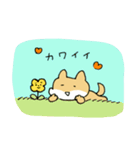 犬のふうちゃんスタンプ（個別スタンプ：31）