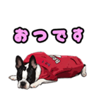 ぼすたんぷ（個別スタンプ：2）