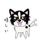 ぼくコジロウ（個別スタンプ：1）