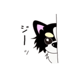 ぼくコジロウ（個別スタンプ：6）