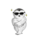 Mr. Owly（個別スタンプ：6）