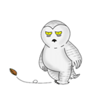 Mr. Owly（個別スタンプ：19）