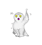 Mr. Owly（個別スタンプ：20）