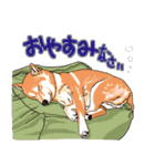 みんなの柴犬スタンプ1（個別スタンプ：5）