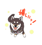 みんなの柴犬スタンプ1（個別スタンプ：11）