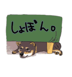 みんなの柴犬スタンプ1（個別スタンプ：32）