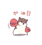 Hamster's daily 2（個別スタンプ：9）