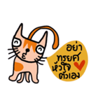 Little tiger, Sua noi (Sweet Cat)（個別スタンプ：8）