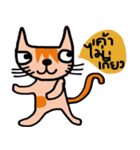 Little tiger, Sua noi (Sweet Cat)（個別スタンプ：19）