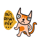 Little tiger, Sua noi (Sweet Cat)（個別スタンプ：20）