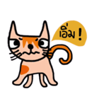 Little tiger, Sua noi (Sweet Cat)（個別スタンプ：31）