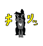 黒シュナ文太（個別スタンプ：1）