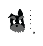 黒シュナ文太（個別スタンプ：10）