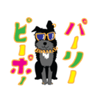 黒シュナ文太（個別スタンプ：20）
