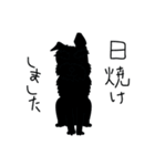 黒シュナ文太（個別スタンプ：21）