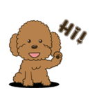 Poodle Gingy（個別スタンプ：5）