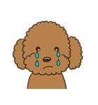 Poodle Gingy（個別スタンプ：7）