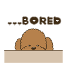 Poodle Gingy（個別スタンプ：12）