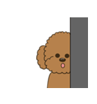 Poodle Gingy（個別スタンプ：13）