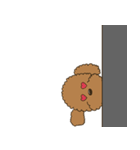 Poodle Gingy（個別スタンプ：15）