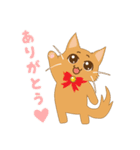 ねこのソマリ三兄弟（個別スタンプ：1）