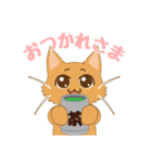 ねこのソマリ三兄弟（個別スタンプ：8）