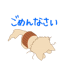ねこのソマリ三兄弟（個別スタンプ：12）