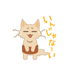 ねこのソマリ三兄弟（個別スタンプ：20）