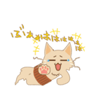 ねこのソマリ三兄弟（個別スタンプ：22）