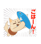 ねこのソマリ三兄弟（個別スタンプ：26）