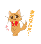 ねこのソマリ三兄弟（個別スタンプ：27）