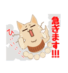 ねこのソマリ三兄弟（個別スタンプ：28）