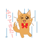 ねこのソマリ三兄弟（個別スタンプ：31）