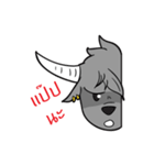 Yungkhaow : Thai Buffalo（個別スタンプ：36）