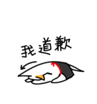 White Dog and his co worker（個別スタンプ：6）