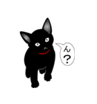 黒い子猫のクロちゃん（個別スタンプ：8）