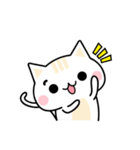 Cute Kitten Expression Sticker（個別スタンプ：5）