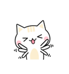 Cute Kitten Expression Sticker（個別スタンプ：8）