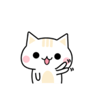 Cute Kitten Expression Sticker（個別スタンプ：10）