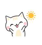 Cute Kitten Expression Sticker（個別スタンプ：11）