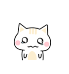 Cute Kitten Expression Sticker（個別スタンプ：17）