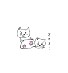 ねこときどきくまとか…（個別スタンプ：13）