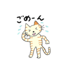 ネコたろう（個別スタンプ：8）