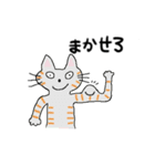 ネコたろう（個別スタンプ：17）