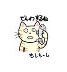 ネコたろう（個別スタンプ：19）