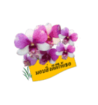 FLOWER TODAY（個別スタンプ：2）