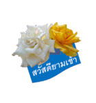 FLOWER TODAY（個別スタンプ：3）