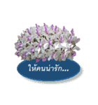 FLOWER TODAY（個別スタンプ：4）