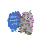 FLOWER TODAY（個別スタンプ：5）