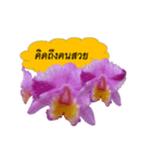 FLOWER TODAY（個別スタンプ：6）